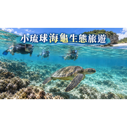 小琉球海龜生態旅遊：浮潛守則、兩天一夜與交通