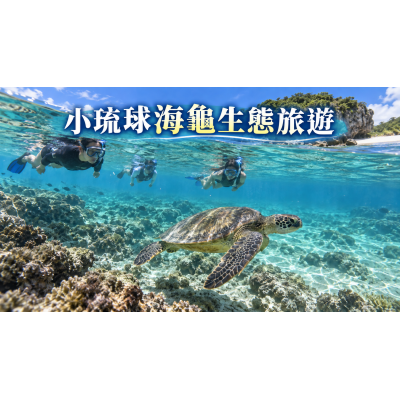 小琉球海龜生態旅遊：浮潛守則、兩天一夜與交通