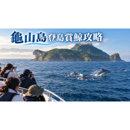 龜山島登島賞鯨攻略：申請、季節與宜蘭一日遊安排