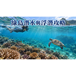 綠島潛水與浮潛攻略：新手怎麼選、交通與生態守則